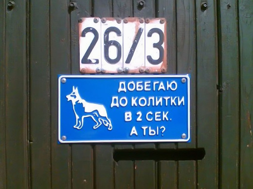 167190 (a): :1024x768